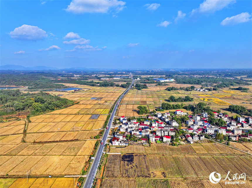 連片成塊分布的高標準農田與綠樹青山、村落農房相映相襯。人民網朱海鵬攝