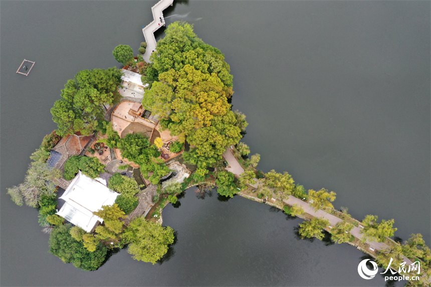 21日拍攝的南昌八一公園水清岸綠，市民和游客正在公園里休閑。人民網記者 時雨攝