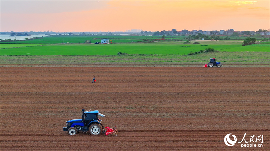 豐城市尚莊街道赤崗村村民在翻耕田地，拖拉機來回循環作業在大地上繪出漂亮的線條。人民網 朱海鵬攝