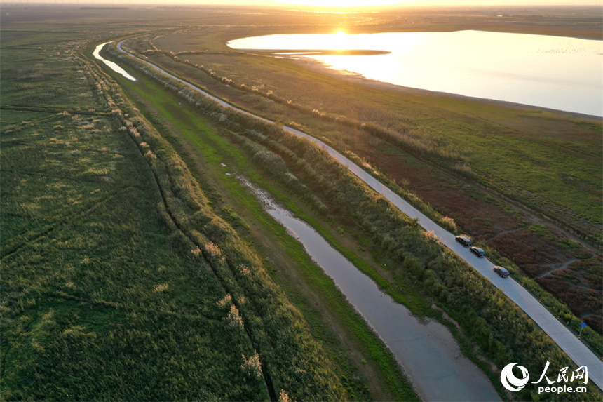 進入極枯水位的鄱陽湖溝渠縱橫，俯瞰之下，湖面成為一片大草原。人民網記者 時雨攝