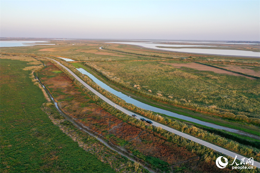 進入極枯水位的鄱陽湖溝渠縱橫，俯瞰之下，湖面成為一片大草原。人民網記者 時雨攝