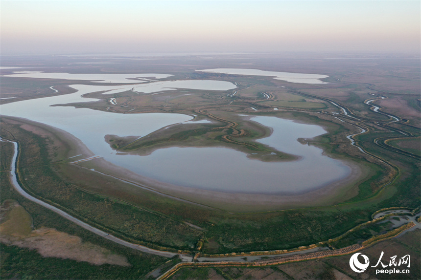 進入極枯水位的鄱陽湖溝渠縱橫，俯瞰之下，湖面成為一片大草原。人民網記者 時雨攝