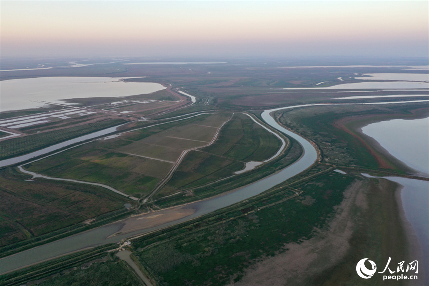 進入極枯水位的鄱陽湖溝渠縱橫，俯瞰之下，湖面成為一片大草原。人民網記者 時雨攝