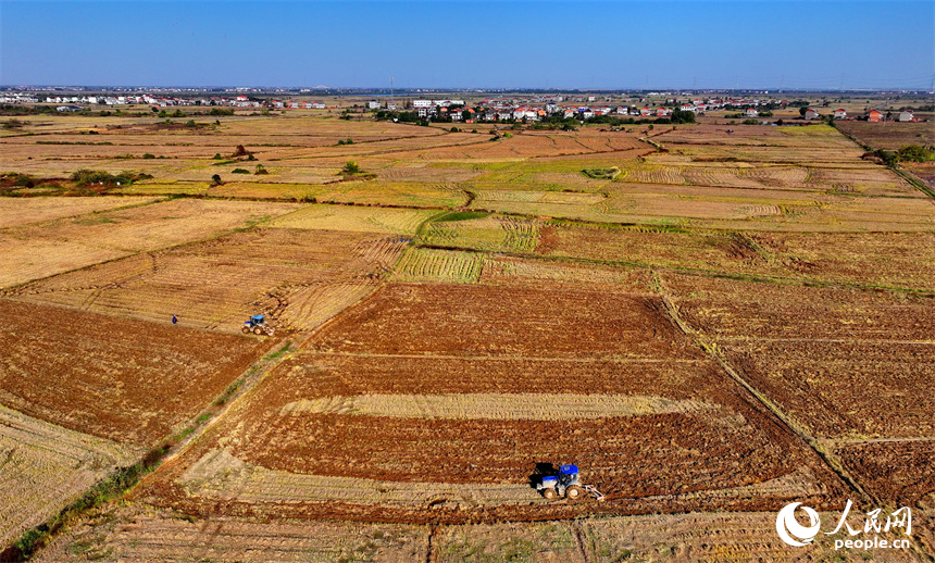 南昌市南昌縣涇口鄉東崗村，村民駕駛農機在田間耕整農田，為下一步播種油菜做好準備。人民網 朱海鵬攝