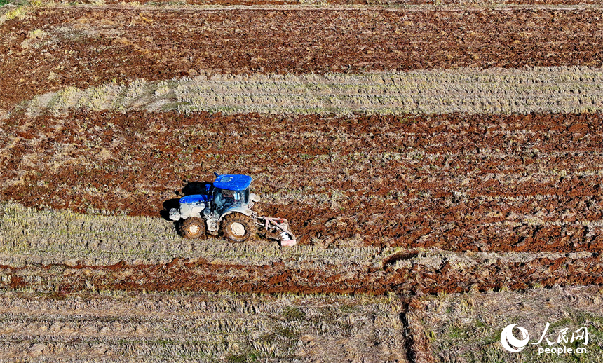 南昌市南昌縣涇口鄉東崗村，村民駕駛農機在田間耕整農田，為下一步播種油菜做好準備。人民網 朱海鵬攝