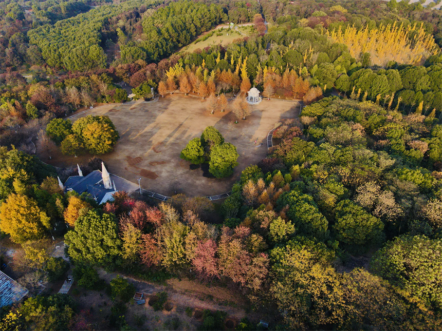 南昌縣鳳凰溝的楓葉、金錢松、銀杏紛紛變色，迎來最佳觀賞期。虞亮亮攝
