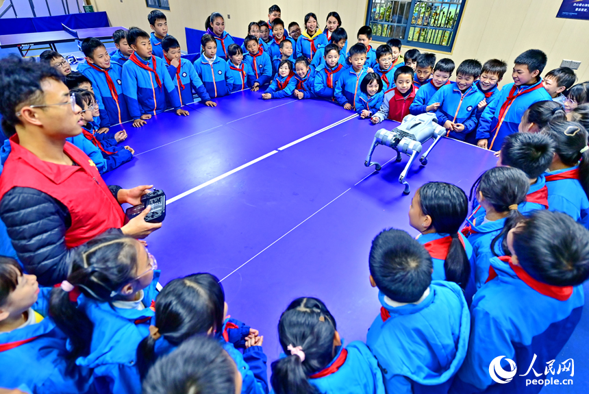 撫州市宜黃縣鳳岡鎮第一小學科普趣味課上，小學生們在觀看仿生機器狗表演。人民網 朱海鵬攝