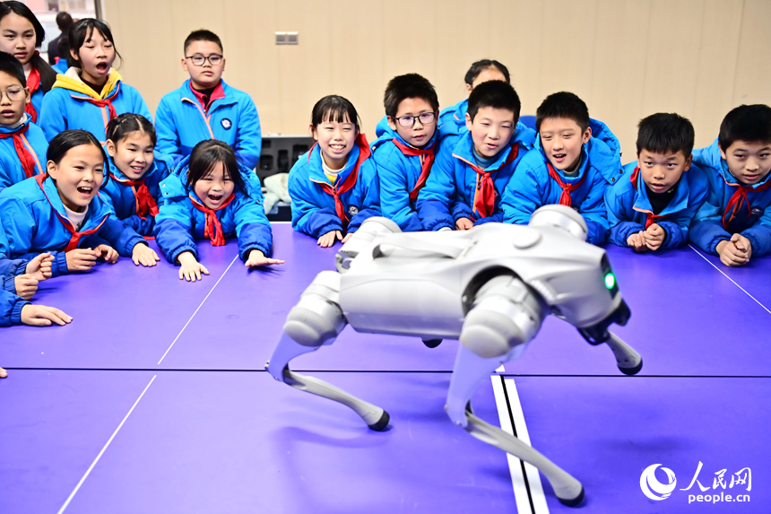 撫州市宜黃縣鳳岡鎮第一小學科普趣味課上，小學生們在觀看仿生機器狗表演。人民網 朱海鵬攝