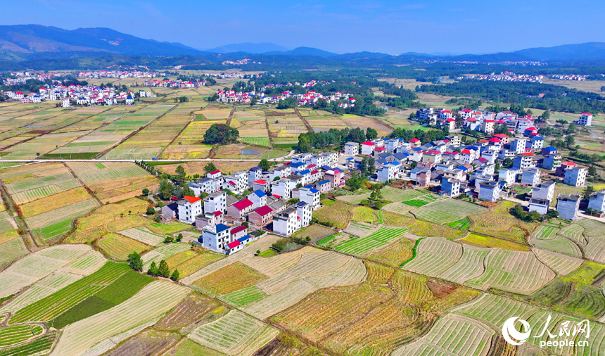 吉安市永新縣龍源口鎮辛田村一帶，農村公路與錯落有致的耕地、農房交相輝映，構成一道獨特的冬日鄉村美景。人民網 朱海鵬攝
