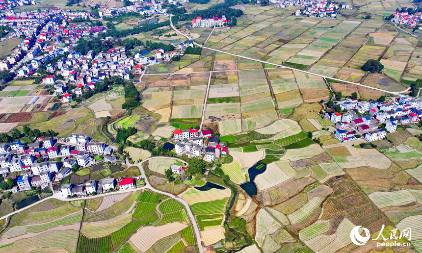 吉安市永新縣龍源口鎮辛田村一帶，農村公路與錯落有致的耕地、農房交相輝映，構成一道獨特的冬日鄉村美景。人民網 朱海鵬攝