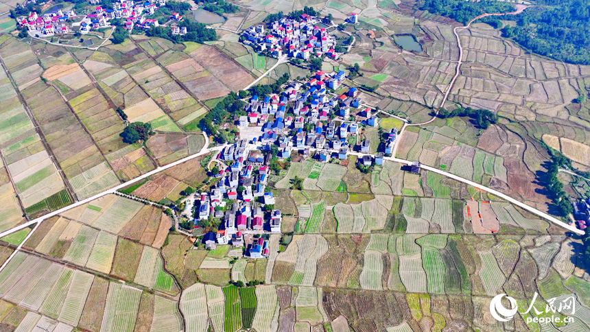 吉安市永新縣龍源口鎮辛田村一帶，農村公路與錯落有致的耕地、農房交相輝映，構成一道獨特的冬日鄉村美景。人民網 朱海鵬攝
