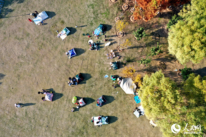 贛江市民公園里，市民們搭著帳篷享受冬日暖陽。人民網記者 時雨攝