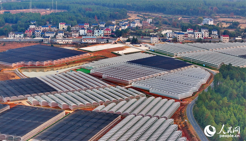 上饒市弋陽縣圭峰鎮馮家村和美鄉村如畫卷。人民網 朱海鵬攝