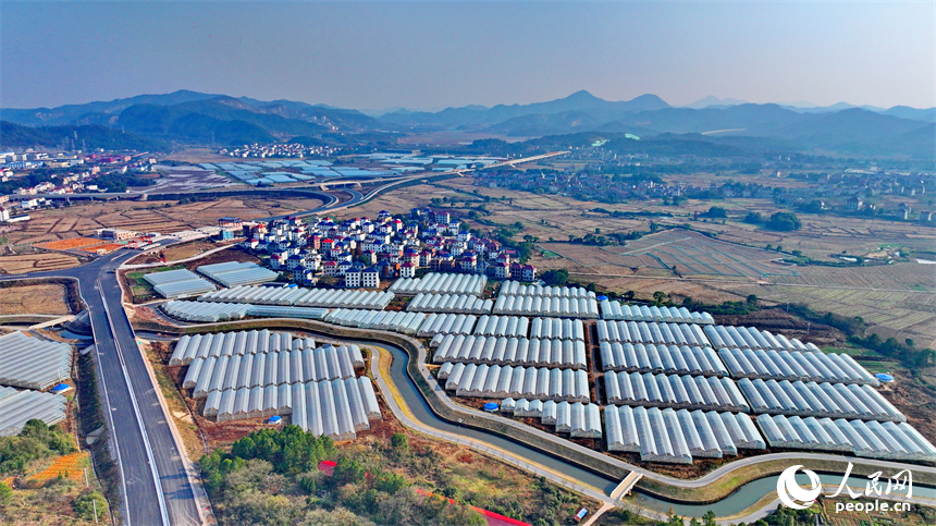 撫州市東鄉區孝崗鎮，縱橫交錯的公路與鱗次櫛比的大棚相得益彰。人民網 朱海鵬攝