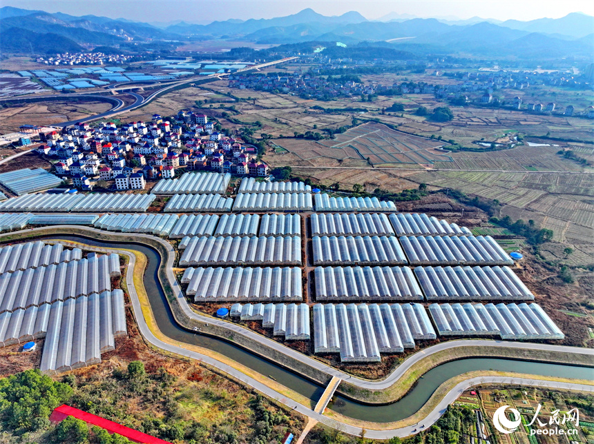 撫州市東鄉區孝崗鎮，縱橫交錯的公路與鱗次櫛比的大棚相得益彰。人民網 朱海鵬攝