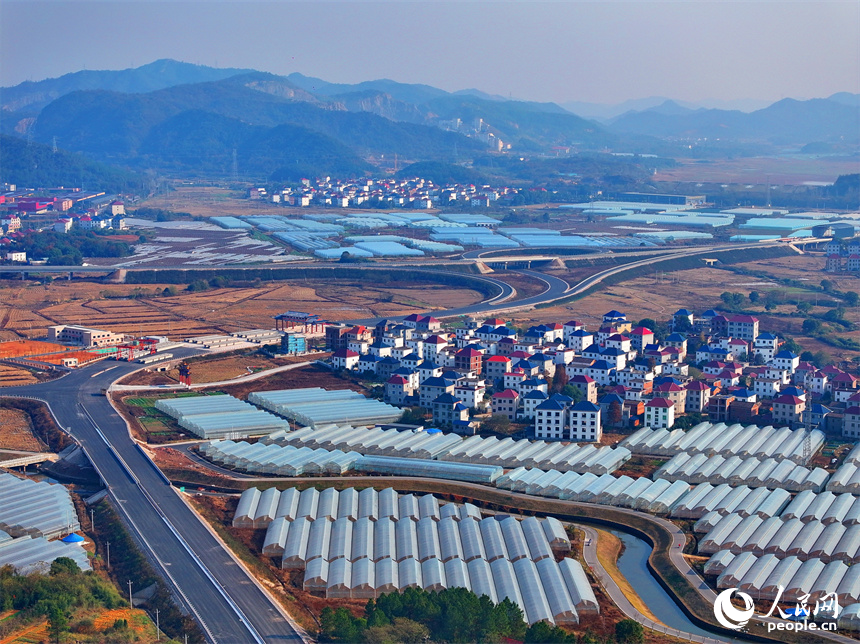 撫州市東鄉區孝崗鎮，縱橫交錯的公路與鱗次櫛比的大棚相得益彰。人民網 朱海鵬攝
