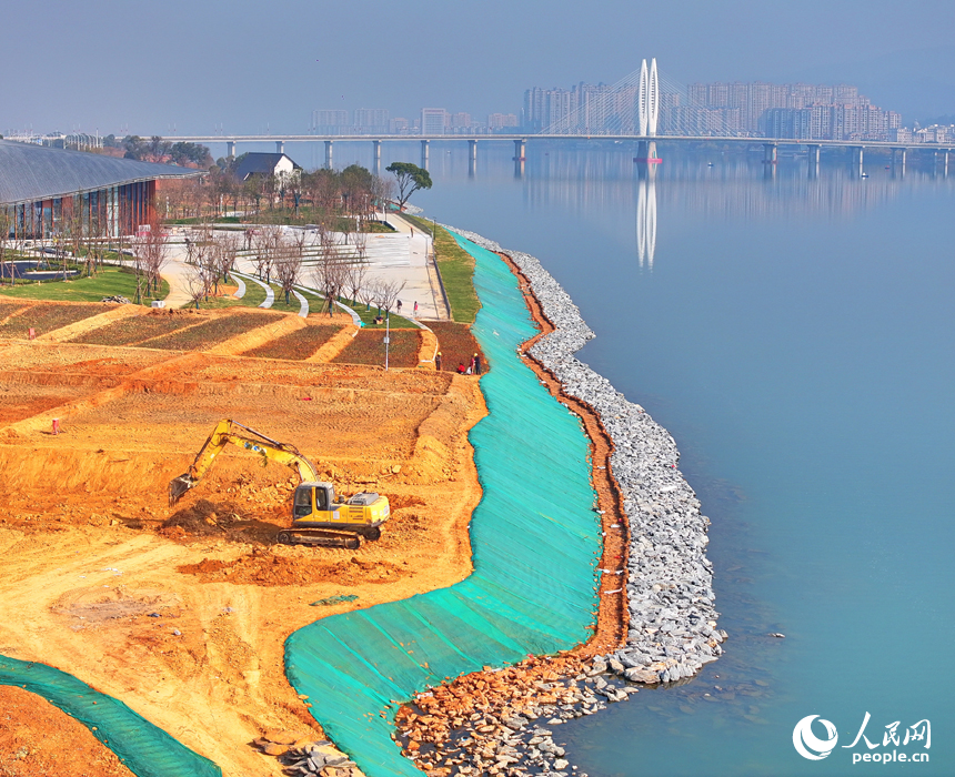 吉水縣贛江江灘，工人操作機械設備在進行表土剝離，為下一步種植草皮、樹木等綠化苗木做準備。人民網 朱海鵬攝