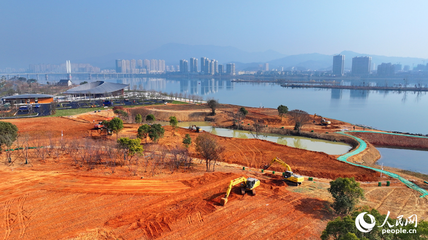 吉水縣贛江江灘，工人操作機械設備在進行表土剝離，為下一步種植草皮、樹木等綠化苗木做準備。人民網 朱海鵬攝