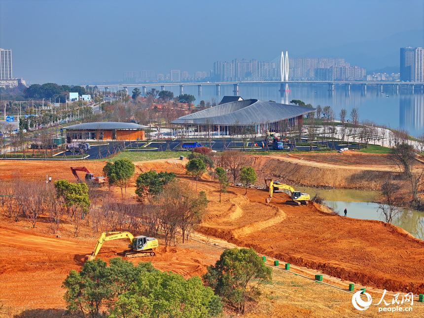 吉水縣贛江江灘，工人操作機械設備在進行表土剝離，為下一步種植草皮、樹木等綠化苗木做準備。人民網 朱海鵬攝