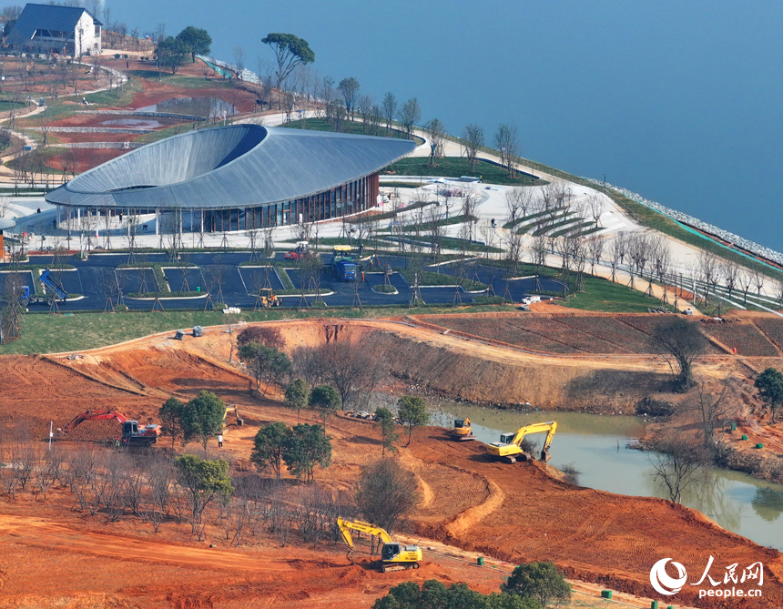 吉水縣贛江江灘，工人操作機械設備在進行表土剝離，為下一步種植草皮、樹木等綠化苗木做準備。人民網 朱海鵬攝