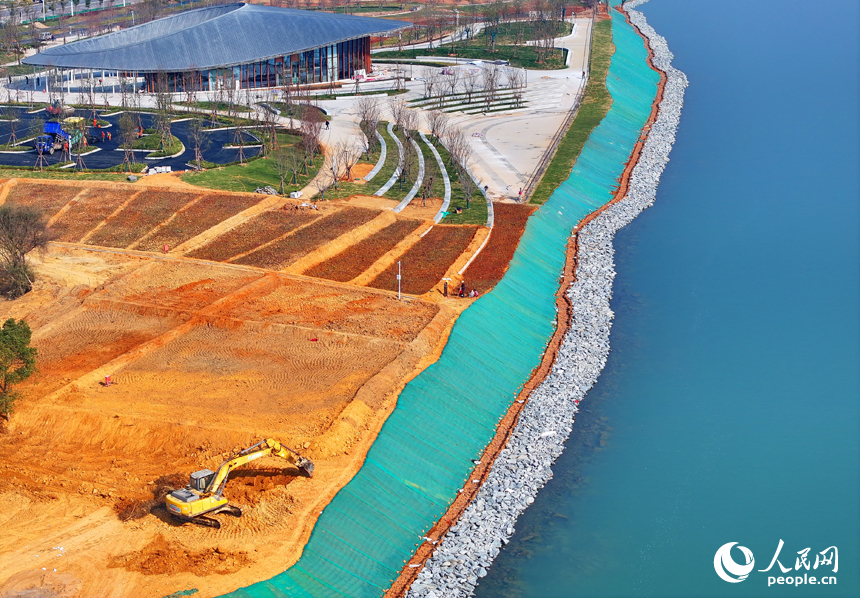 吉水縣贛江江灘，工人操作機械設備在進行表土剝離，為下一步種植草皮、樹木等綠化苗木做準備。人民網 朱海鵬攝
