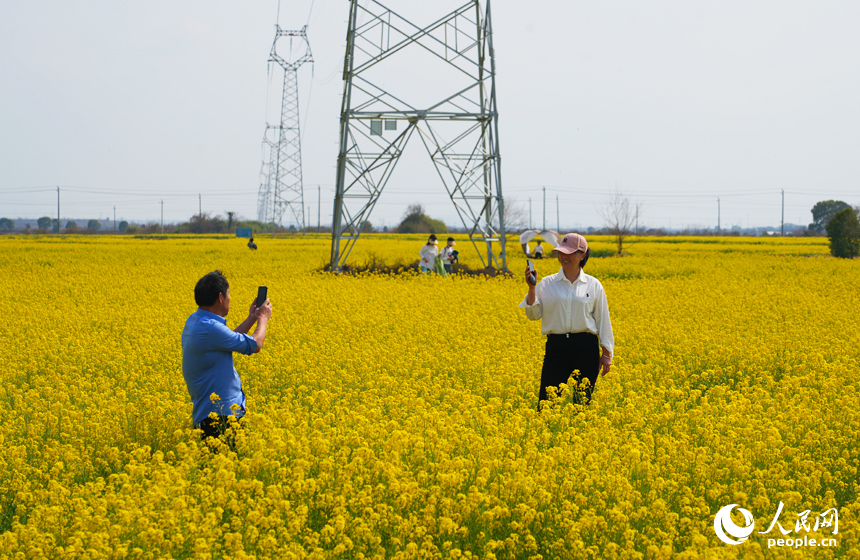 市民游客在油菜花海中感受春日的絢爛與美好。人民網記者 毛思遠攝