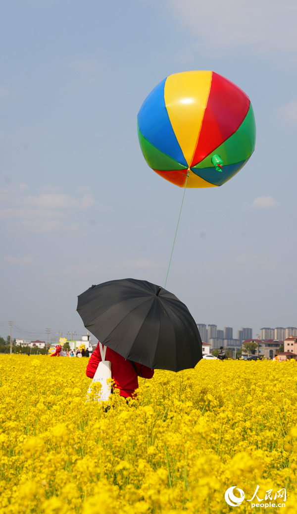 市民游客在油菜花海中感受春日的絢爛與美好。人民網記者 毛思遠攝