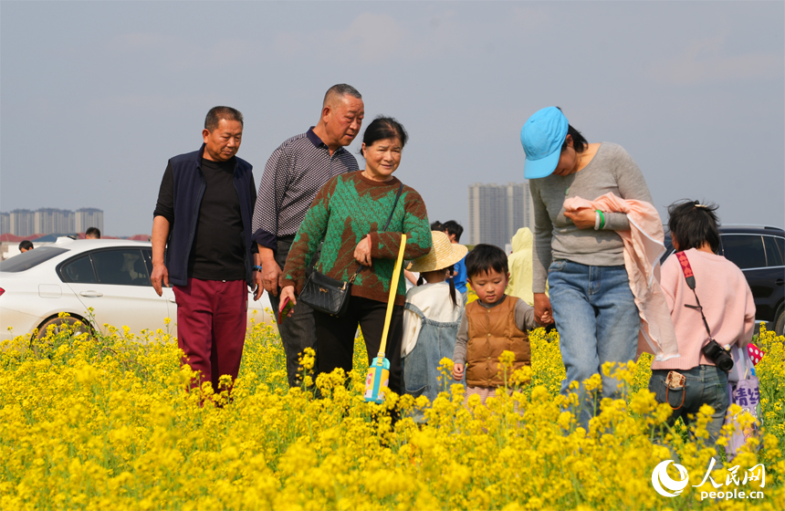 市民游客在油菜花海中感受春日的絢爛與美好。人民網記者 毛思遠攝