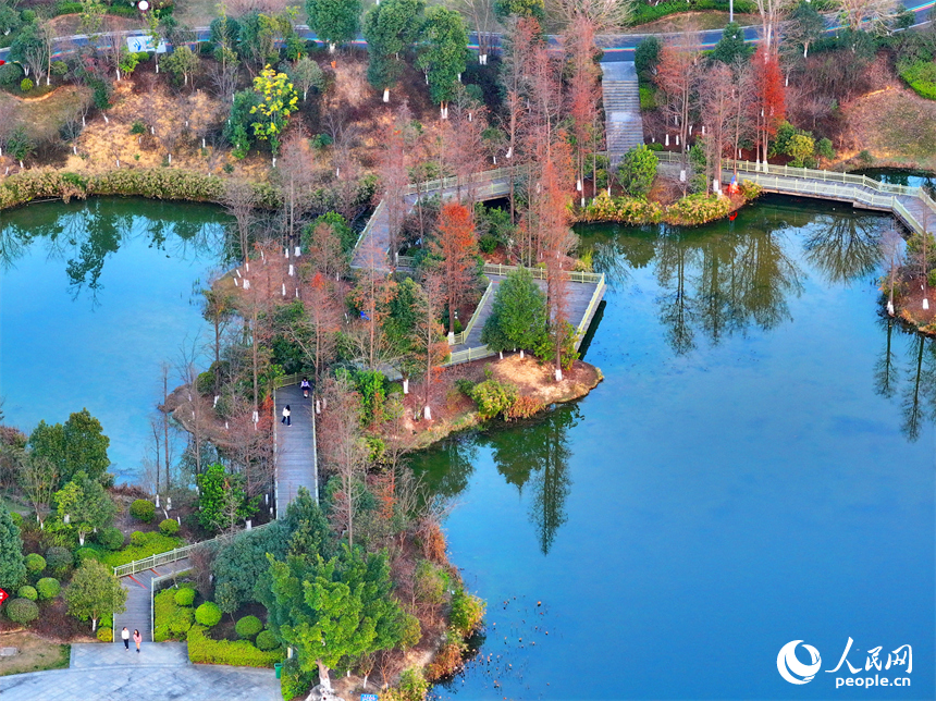 安遠縣書香公園，綠樹、碧水、游步道相映成景，成為市民休閑游玩的好去處。人民網 朱海鵬攝