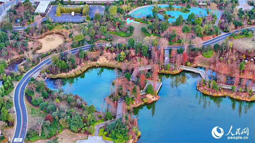 安遠縣書香公園，綠樹、碧水、游步道相映成景，成為市民休閑游玩的好去處。人民網 朱海鵬攝