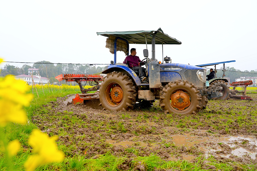 村民利用農機翻耕土地進行春種。姚雨婷攝