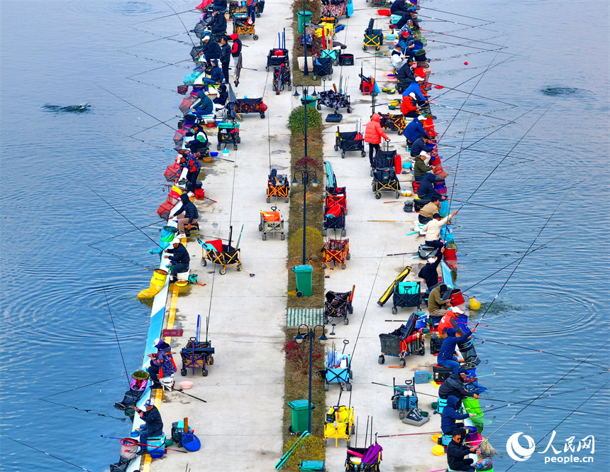撫州市金溪縣瑯琚鎮楓山村的一處鄉村垂釣基地，垂釣愛好者在進行釣魚競技比賽。人民網 朱海鵬攝