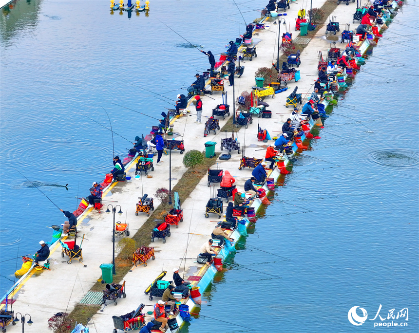 撫州市金溪縣瑯琚鎮楓山村的一處鄉村垂釣基地，垂釣愛好者在進行釣魚競技比賽。人民網 朱海鵬攝