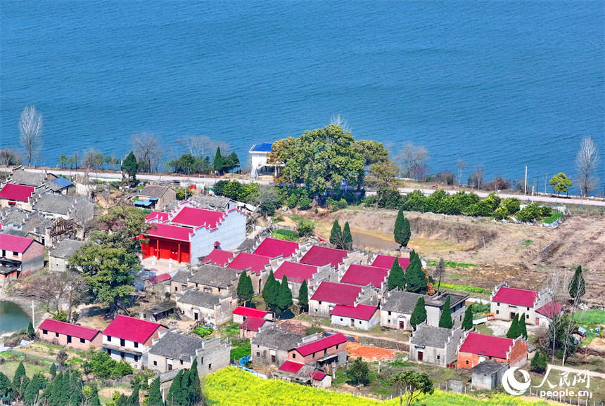 吉安市吉水縣文峰鎮，贛江沿線綠道蜿蜒，樹木林立，呈現出一幅水清岸綠景美景色美的畫卷。人民網朱海鵬攝