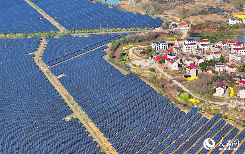 位于豐城市的國家能源集團豐城光伏發電項目泉塘光伏電站，連片的光伏發電板依次排列，熠熠生輝。人民網 朱海鵬攝
