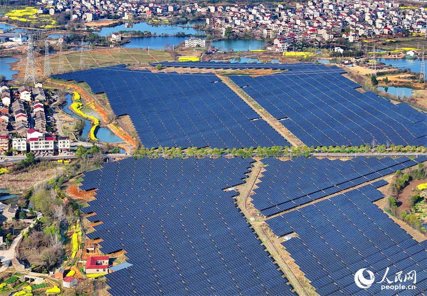 位于豐城市的國家能源集團豐城光伏發電項目泉塘光伏電站，連片的光伏發電板依次排列，熠熠生輝。人民網 朱海鵬攝