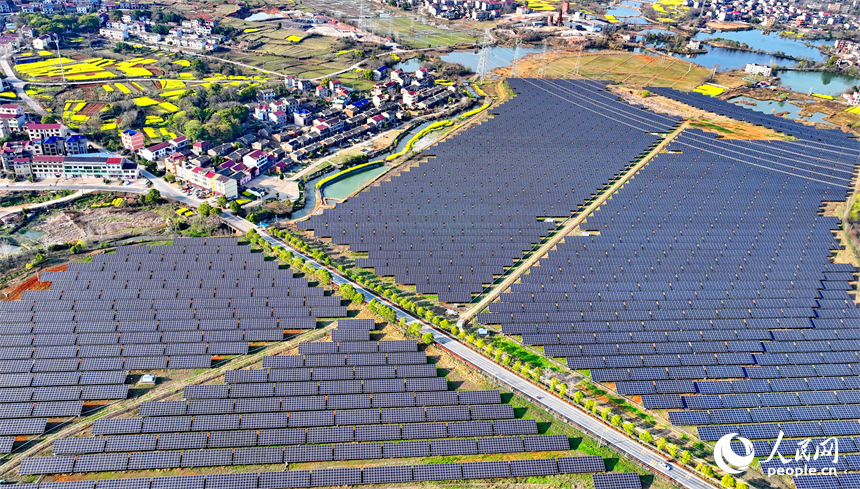 位于豐城市的國家能源集團豐城光伏發電項目泉塘光伏電站，連片的光伏發電板依次排列，熠熠生輝。人民網 朱海鵬攝