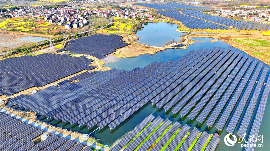 位于豐城市的國家能源集團豐城光伏發電項目泉塘光伏電站，連片的光伏發電板依次排列，熠熠生輝。人民網 朱海鵬攝