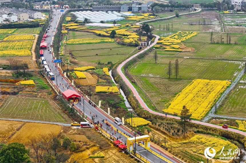 油菜花海中，參賽選手邁著大步沖向終點。人民網 龍楚良攝