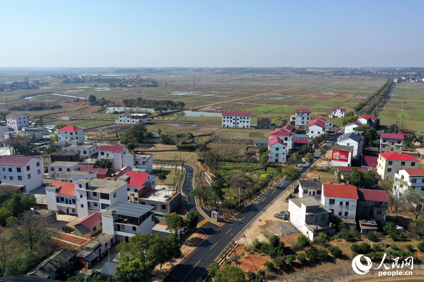 航拍鏡頭下的江西省南昌市紅谷灘流湖鎮魏家村的棕情小鎮。人民網記者 時雨攝