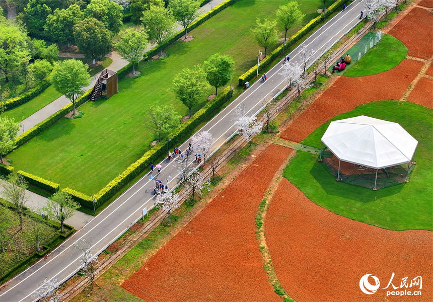豐城市梅林鎮的一處花卉小鎮，許多游客漫步其中觀賞生態美景，樂享春日時光。人民網 朱海鵬攝