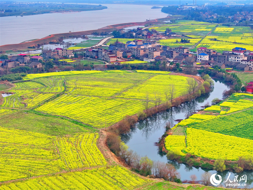 臨川區桐源鄉池溪村，廣袤的農田與彎彎河流相映成景，和美如畫。人民網 朱海鵬攝