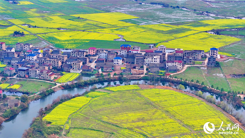 臨川區桐源鄉池溪村，廣袤的農田與彎彎河流相映成景，和美如畫。人民網 朱海鵬攝