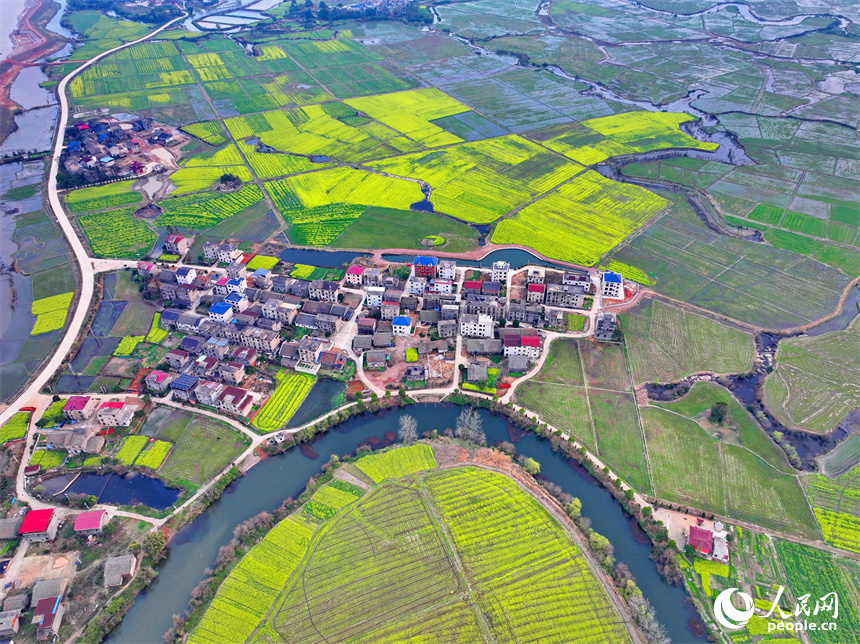 臨川區桐源鄉池溪村，廣袤的農田與彎彎河流相映成景，和美如畫。人民網 朱海鵬攝