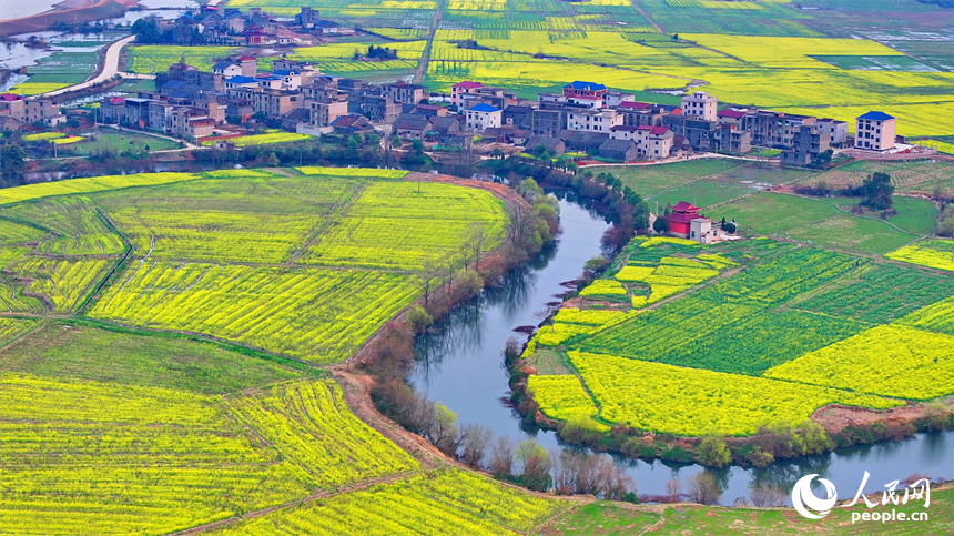 臨川區桐源鄉池溪村，廣袤的農田與彎彎河流相映成景，和美如畫。人民網 朱海鵬攝