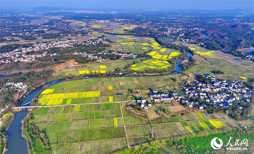 上饒市弋陽縣葛溪鄉繆家村，蜿蜒的河流與農房、農田相映成景，處處春意盎然、和美如畫。人民網 朱海鵬攝