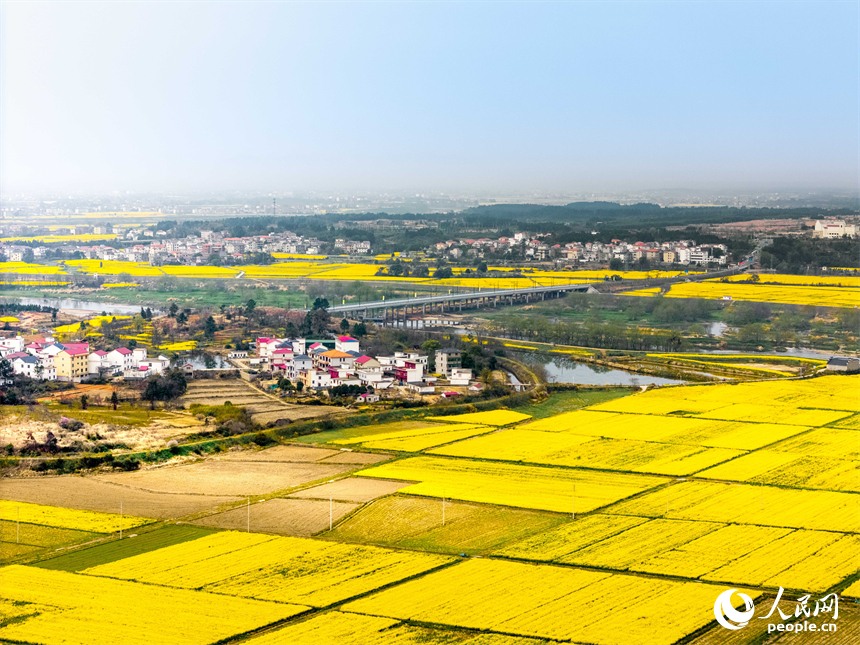 油菜花田與村莊、公路、群山構成一幅美麗畫卷。人民網 龍楚良攝