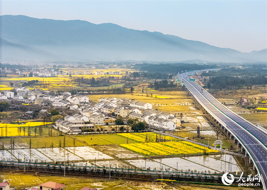 油菜花田與村莊、公路、群山構成一幅美麗畫卷。人民網 涂詩軒攝