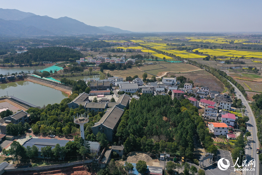 安義縣長埠鎮車田村民居錯落有致，遠處的黛色山巒如屏風般護佑著村落。人民網記者 時雨攝