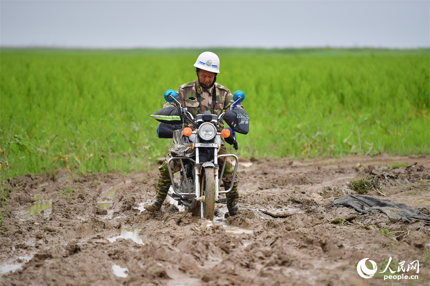 王小龍在鄱陽湖湖區腹地的泥濘地艱難騎行摩托車。人民網記者 時雨攝